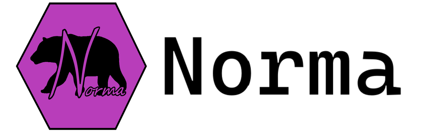 Norma original project artwork or screenshot
